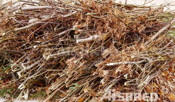 Dvouhřídelový drtič pro zpracování zeleného odpadu a biomasy